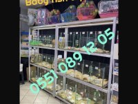 Minik hamster dostunu seç adresine gelsin