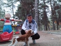 CAVALİER KİNG CHARLES