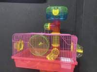 Adrese Teslim Hamster Şubemiz Mark Antalya Çok Yakın