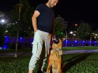 2 yaş ŞECERELİ ALMAN ÇOBAN KÖPEĞİ