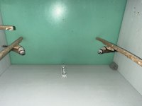 Baykuş Çift İspinoz