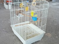 Muhabbet kuşu kafesiyle her şeyi hazır