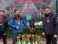 A KALİTE BELÇİKA MALİNOİS YAVRUSU 3 AYLIĞA YAKIN
