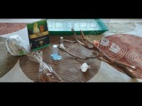 KUŞ KAFESİ + BAKIM ÜRÜNLERİ