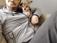 Eş çiftleştirme şivava