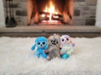 Şecereli Teacup Pomeranian Yavrularımız