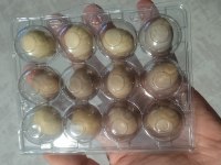 KULUÇKALIK ÇİN BILDIRCIN YUMURTASI