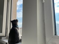 KEDİMİZ IŞIĞIMIZI SAHİPLENDİRİYORUZ