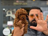 Çağrı Çemçemin Kataloğunun Şampiyonu