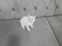 Bal küpü oyuncu kızımız yuvasını arıyor