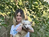 Özel renklere sahip border collie kızımız
