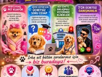 Çağrı çemçem in sizin için seçtiği yavrular 