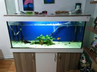 120 Cm Mobilyalı Akvaryum