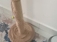 EVİMİZİN ASLANI KEDİMİZ