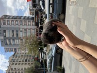 CÜCE LOP HOLLAND BEBEKLER HAZIR