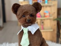 Kore Teddy Baba Anne Toy Poodle