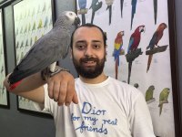 GEVEZE ÇOK KONUŞAN JAKO PAPAĞANI