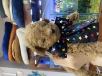 Son kalan Mükemmel poodle bebek