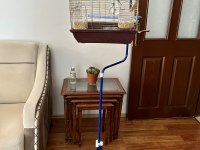 Muhabbet Kuşu Kafesi ile birlikte