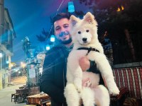Çok Akıllı Çok Sadık 4.5 Aylık Patili Samoyed Dostum