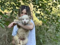 Özel renklere sahip border collie kızımız