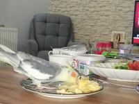 Sağlıklı ev beslemesi sultan papağanım