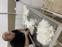 Uygun fiyata verilecek köpeğimiz