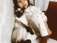 Siyam kedisi 6 aylık