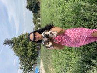 Beagle yavrularım sağlık ve garantilidir