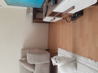 Ücretsiz verilecek malzemeleriyle 7.5 aylık scottish fold