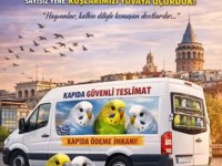 İstanbulda kapıda teslim ve ödeme muhabbet kuşu