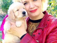 Golden Retriever Gelip Görerek Alabilirsiniz