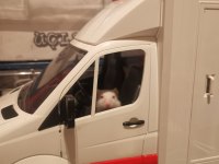 Speedy gonzales hamsterlar