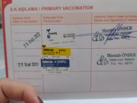 POMERANİAN CİNSİ KOPEK