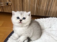 Kaliteden anlayan müşterilerimize özel