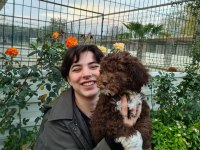 MANTAR AVCISI LAGOTTO ROMAGNOLO YAVRULAR