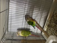 Garanti satılık konur takımlar
