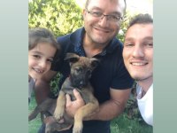 6 Yıllık emeğin sonucu malinois yavrular (yasal çiftlikten)