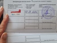 UKRAYNA PASAPORTLU AYI SURAT POMERANİAN BOO