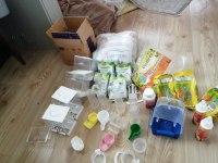 Sultan papağanı 2 eş tutmuş takım ve tüm ekipman