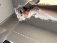 Çok tatlı bebişlerr
