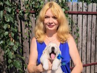 Golden Retriever Adrese Teslim Hizmetimiz Vardır