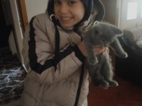 Yeni yuvasini ariyor british shorthair yavrumuz