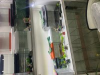 Her bütçeye uygun akvaryum adrese teslim
