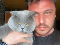 Zamanı Gelen British Shorthair Bebeklerimiz