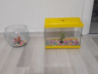BALIKLARA TAŞLI BİTKİLİ VE MOTORLU AKVARYUM