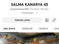 Huzurr arayan kafa dinlemek ruhunu rahatlamak isteyenlere
