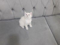 Bal küpü oyuncu kızımız yuvasını arıyor