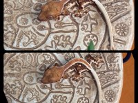 CRESTED GECKO YAVRULARI