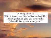 Minyatür red poodle yavrularım